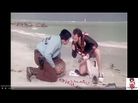 Подарки для взрослых ~ GUMS aka У меня были сны о лихорадке более связные, чем в этом фильме 67 мин.