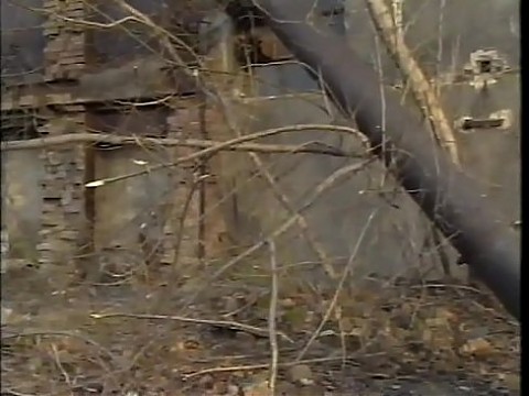Бедная жизнь, богатая любовь, 1995, полный фильм с Тицианой Редфорд, она же Джина Колани 1 ч. 31 мин.