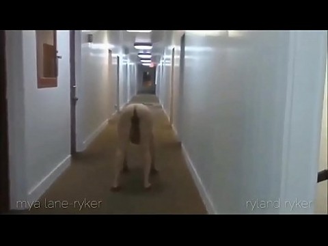 Slutty Wife Compilation